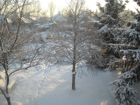 2010 december ez már sok hó másodjára