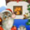 Téli örömök 1