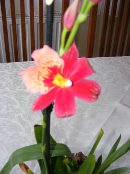 018
