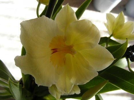 058