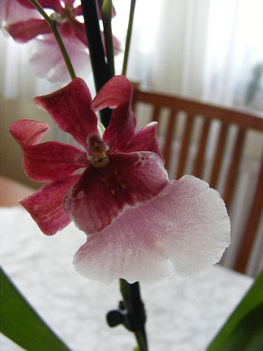 072