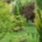 20100717 034