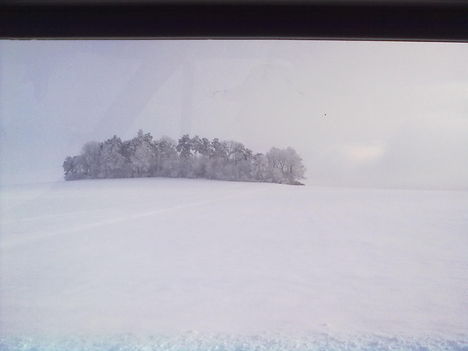 20101204058