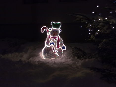 20101204061