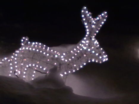 20101204077