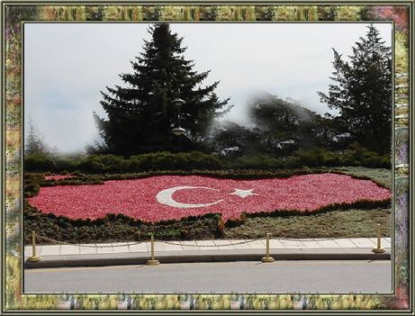 Törökország térképe virágokból 