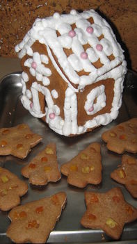 2010 nov-dec 135