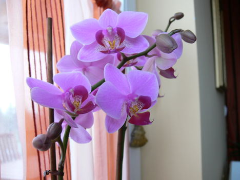 P1000224