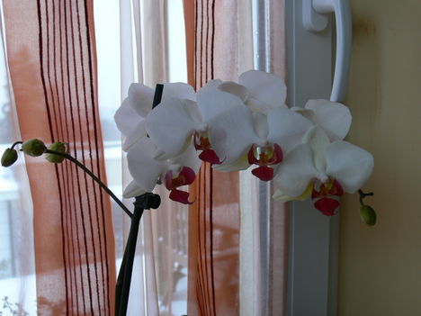 P1000233