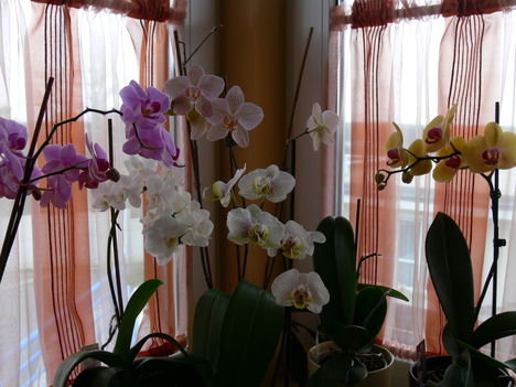 P1000281