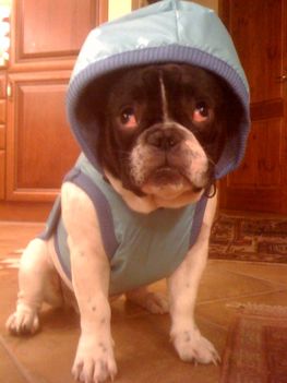photo(12)