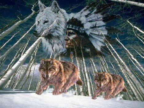 birchspiritwolves