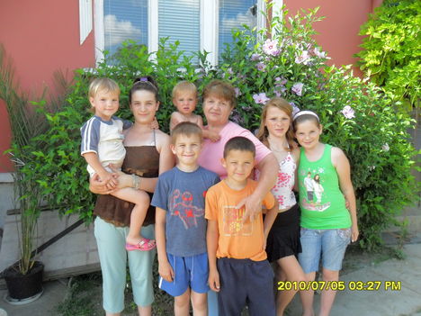 SAM_0343