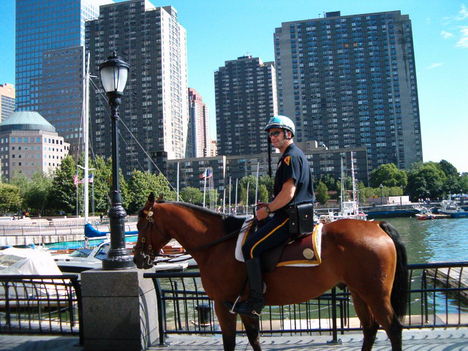 New York-i lovas-rendőr