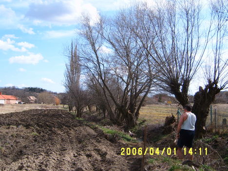 A Füzes patak partján a Biofarm friss szántása. (Fűzfa tönköket ások ki.)