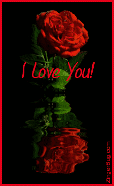 love_you_reflecting_rose