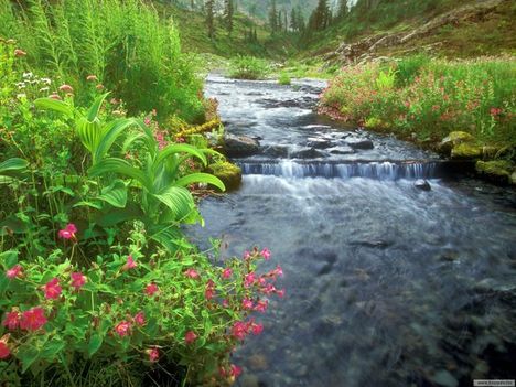 Bagley-patak-Mount-Baker-Washington-USA