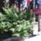 Copy (2) of JD520011