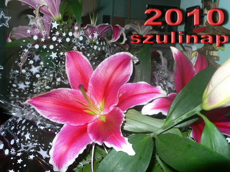 P1050242
