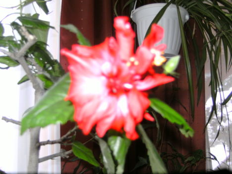 PICT3068