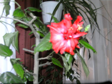 PICT3072