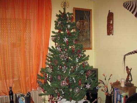 2010 Karacsonyfa01