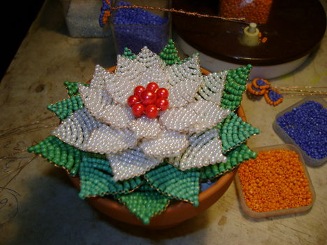 DSC01204