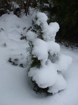 DSCF5166