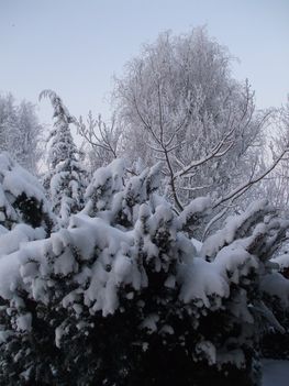 DSCF5223