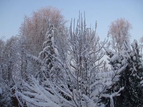 DSCF5246