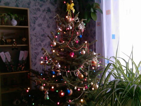 Kivilágított karácsonyfa