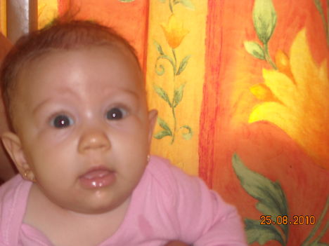 DSCN0087