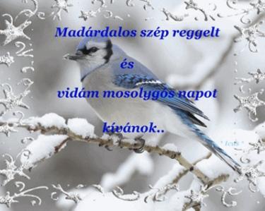 madárdalos ébredés