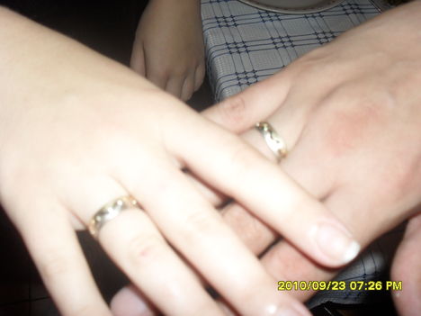 SAM_0446