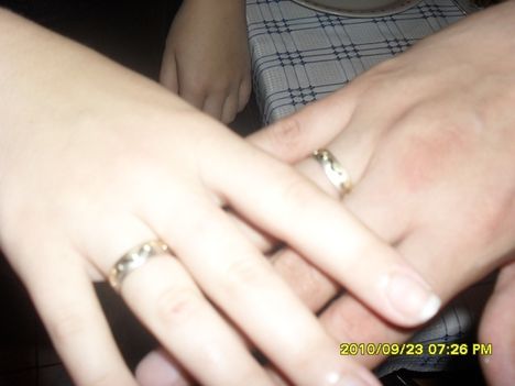SAM_0446