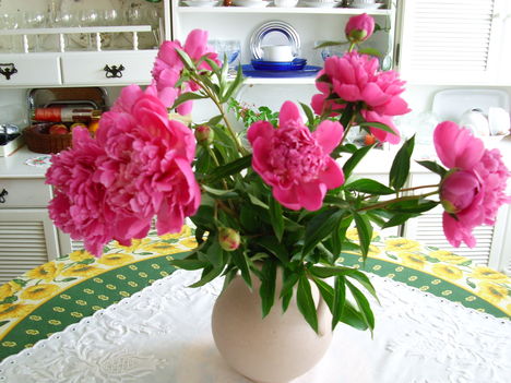 Virág vázába