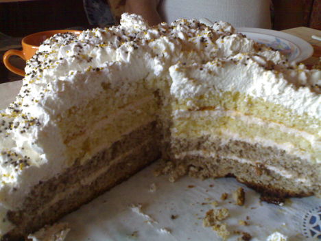 20101003039