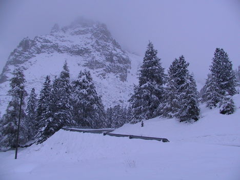 Cortina Dampezo