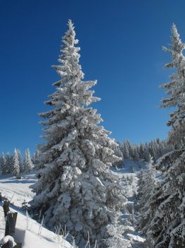 DSCF0395