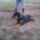 Jony