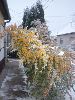 képek 20110102 132