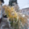 képek 20110102 132