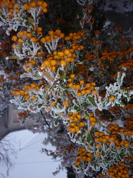 képek 20110102 133