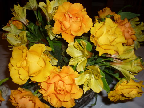 képek 20110102 142