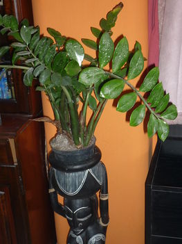 képek 20110102 151
