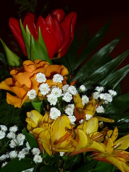 képek 20110102 152