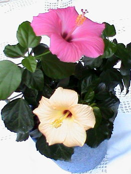 2011.01.11