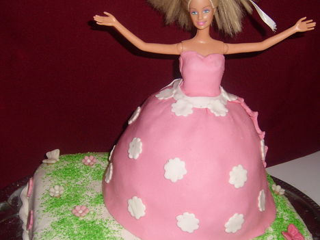 Barbis torta