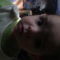 DSC00023