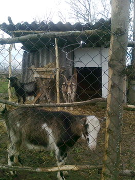 Kép 002